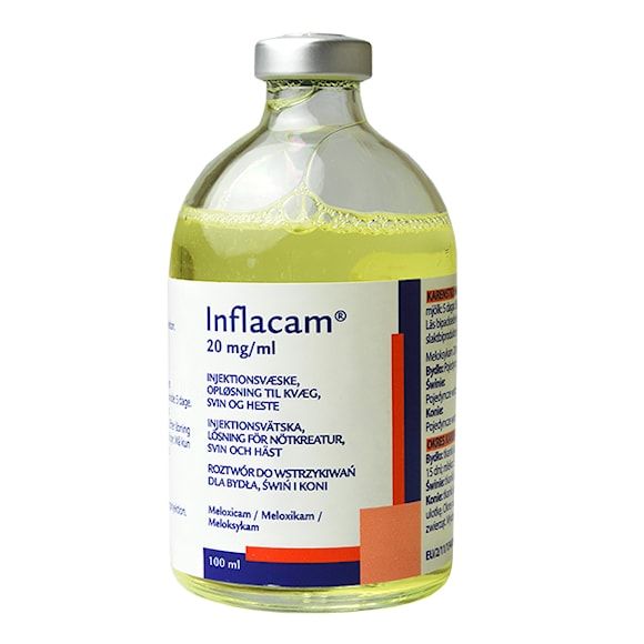 Inflacam, inj-vätska, lösning 20 mg/ml, 100 milliliter