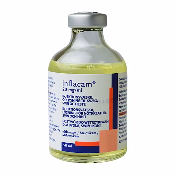 Inflacam, inj-vätska, lösning 20 mg/ml, 50 milliliter