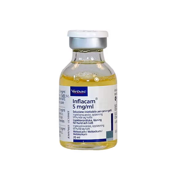 Inflacam 5 mg/ml 20 milliliter Injektionsvätska, lösning