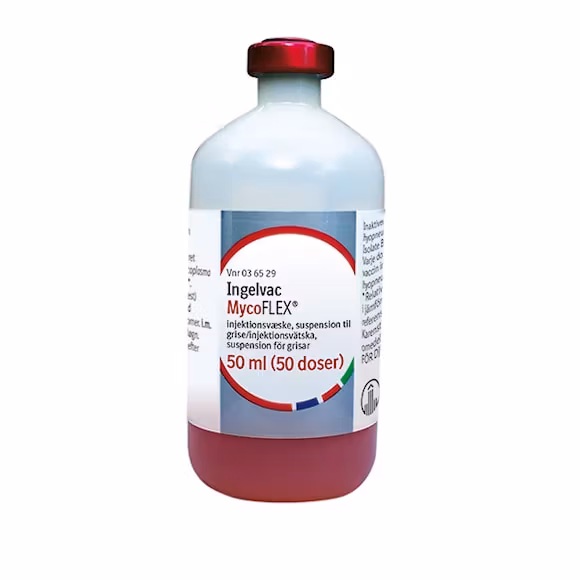 Ingelvac MycoFLEX, inj-vätska, susp, 50 milliliter