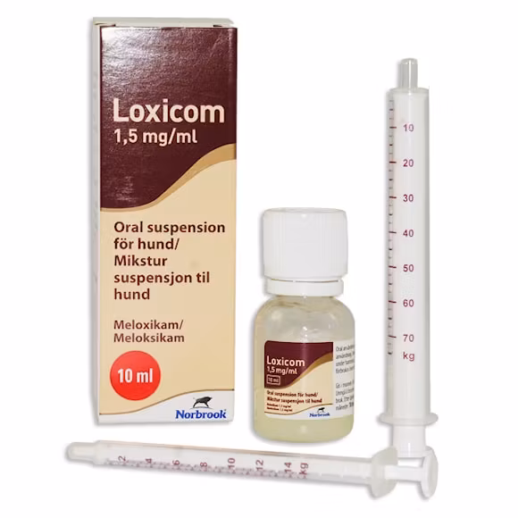 Loxicom, oral suspension 1,5 mg/ml, 10 milliliter