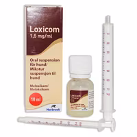 Loxicom, oral suspension 1,5 mg/ml, 10 milliliter