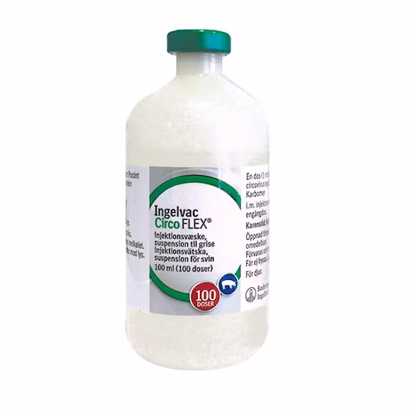 Ingelvac® CircoFLEX 100 milliliter
