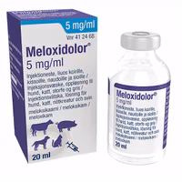Meloxidolor, inj-vätska, lösning 5 mg/ml, 1 x 20 milliliter