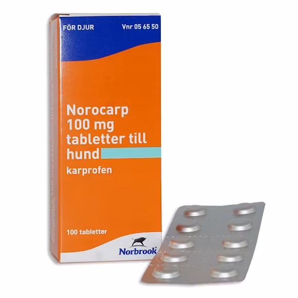 Norocarp, tablett 100 mg, 100 tablett(er)
