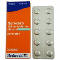 Norocarp, tablett 100 mg, 20 tablett(er)