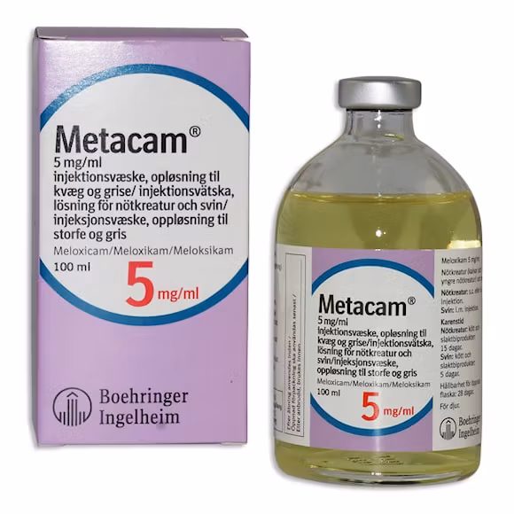 Metacam för nötkreatur och svin, inj-vätska, lösning 5 mg/ml, 100 milliliter