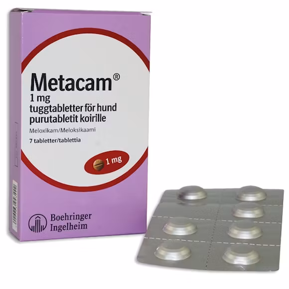 Metacam för hund, tuggtablett 1 mg, 7 tablett(er)