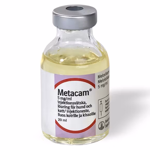 Metacam för hund och katt, inj-vätska, lösning 5 mg/ml 20 milliliter