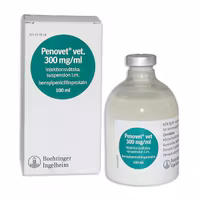 Penovet vet., inj-vätska, suspension 300 mg/ml, 10 x 10 x 100 milliliter