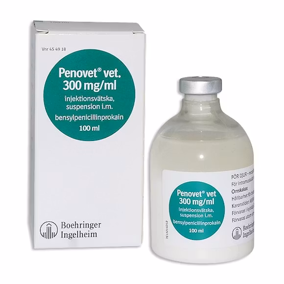 Penovet vet., inj-vätska, suspension 300 mg/ml, 250 milliliter