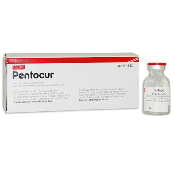Pentocur, pulver till injektionsvätska, lösning, 10 x 1 gram