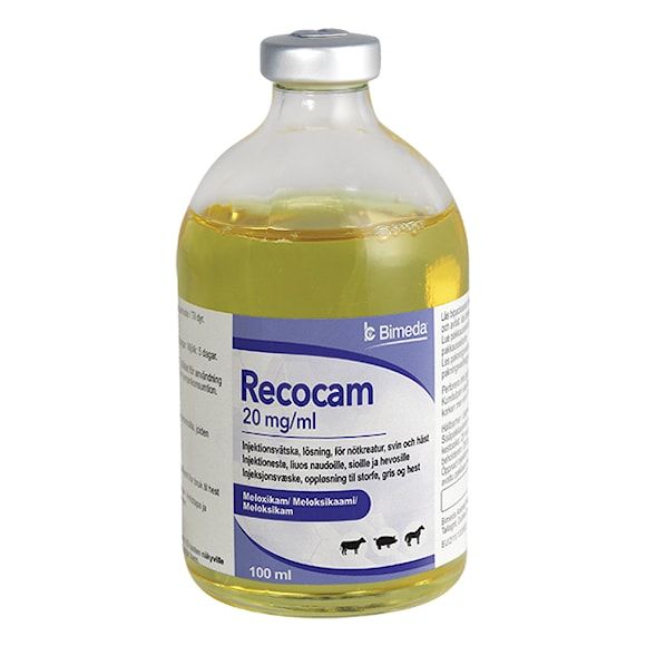 Recocam, inj-vätska, lösning 20 mg/ml, 1 x 100 milliliter