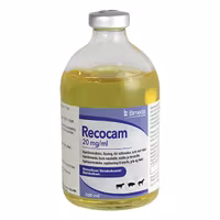 Recocam, inj-vätska, lösning 20 mg/ml, 1 x 100 milliliter