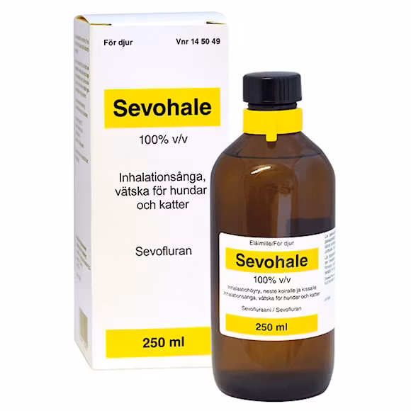 Sevohale, inhalationsånga, vätska 100 %, 250 milliliter