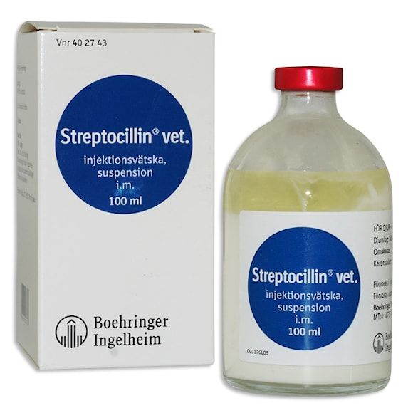 Streptocillin vet., inj-vätska, suspension 250 mg/ml + 200 mg/ml, 100 milliliter
