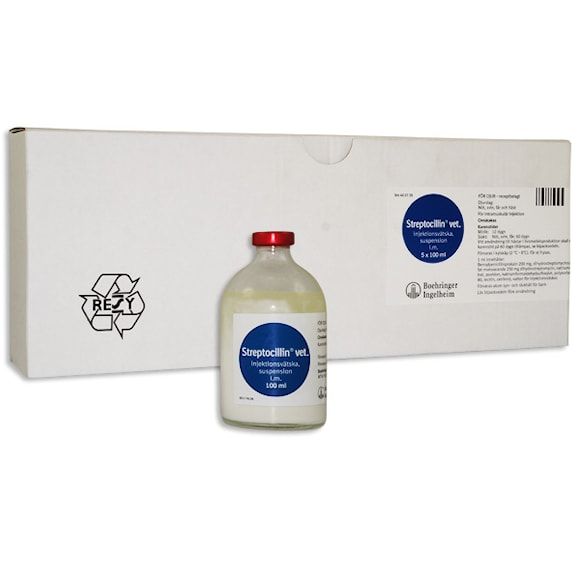 Streptocillin vet., inj-vätska, suspension 250 mg/ml + 200 mg/ml, 5 x 100 milliliter