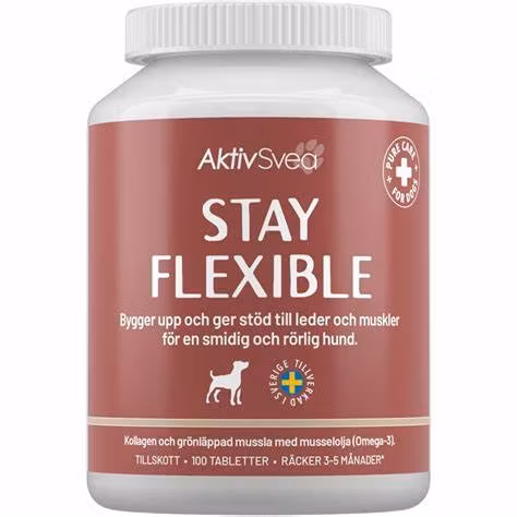 Aktiv hund 100st AktivSvea stay flexible