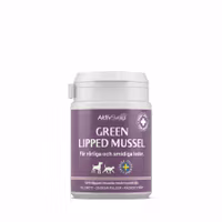 AktivSvea green liped mussel