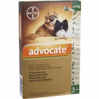 Advocate för små hundar 40 mg/10 mg 3 x 0,4 milliliter Spot-on, lösning
