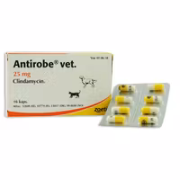 Antirobe vet. 25 mg 16 styck Kapsel, hård