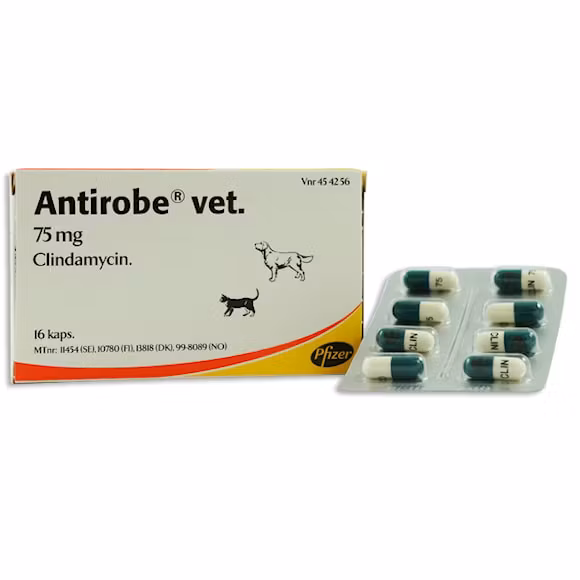 Antirobe vet. 75 mg 16 styck Kapsel, hård