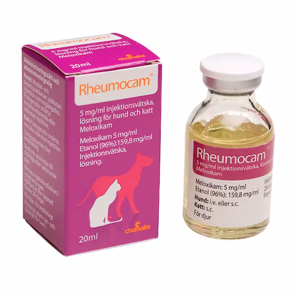 Rheumocam för hund och katt 5 mg/ml 20 milliliter Injektionsvätska, lösning