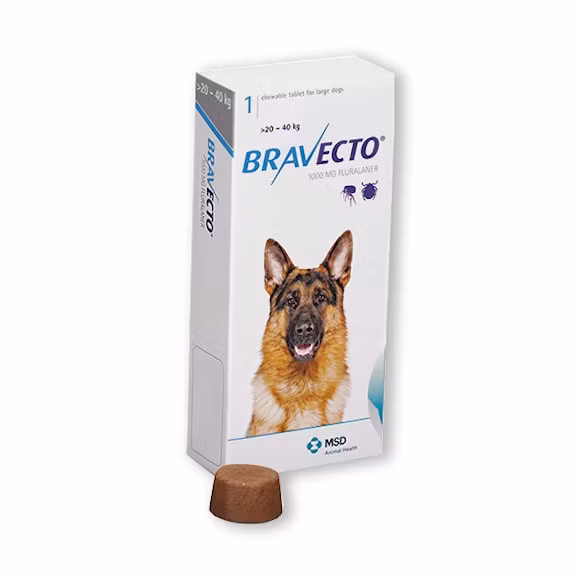 Bravecto för stora hundar (>20-40 kg) 1000 mg 1 tablett(er) Tuggtablett