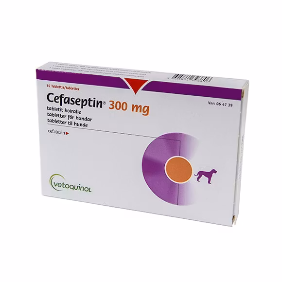 Cefaseptin 300 mg 10 tablett(er) Tablett