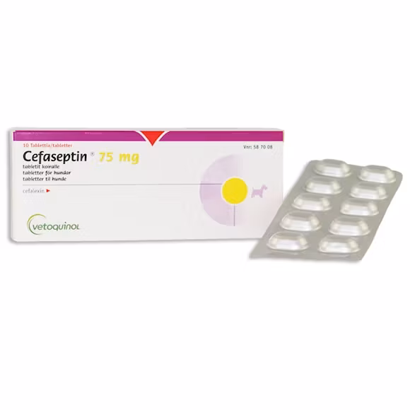 Cefaseptin 75 mg 10 tablett(er) Tablett