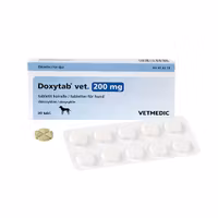 Doxytab vet. 200 mg 1 x 30 tablett(er) Tablett