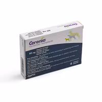 Cerenia 60 mg 4 tablett(er) Tablett