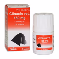 Clinacin vet. 150 mg 16 tablett(er) Tablett