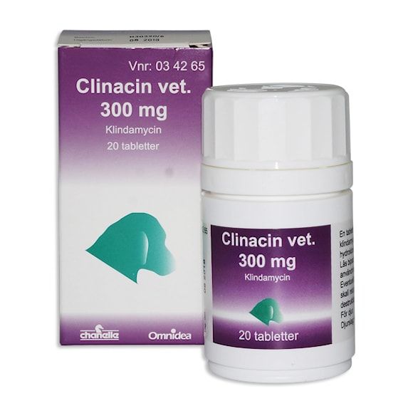 Clinacin vet. 300 mg 20 tablett(er) Tablett