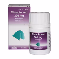 Clinacin vet. 300 mg 20 tablett(er) Tablett