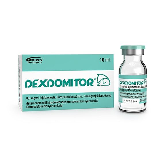 Dexdomitor 0,5 mg/ml 10 milliliter Injektionsvätska, lösning