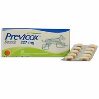 Previcox 227 mg 30 tablett(er) Tuggtablett
