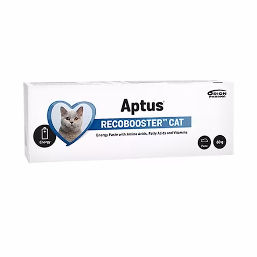 Aptus Recovery Booster cat 60 gram