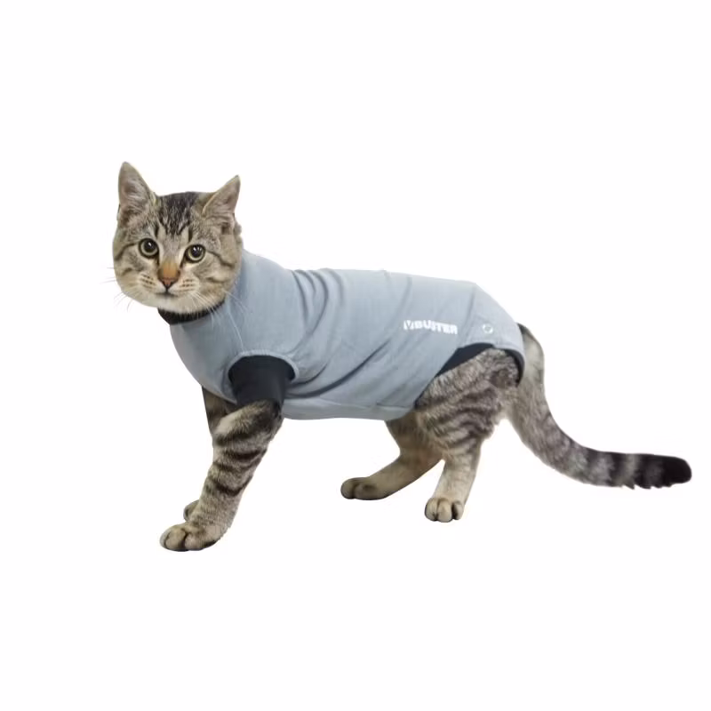 BUSTER Body Suit EasyGo, till katt, grå/svart, 33 cm, XXS, 1 st