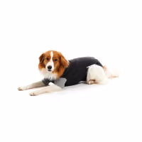 BUSTER Body Suit Classic, till hund, svart/grå, 39 cm, XS, 1 st