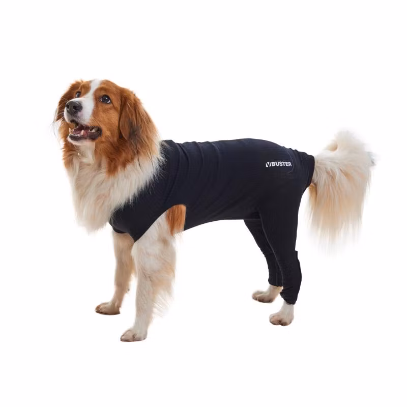 BUSTER Body Sleeves, bakben, XL, 1 st