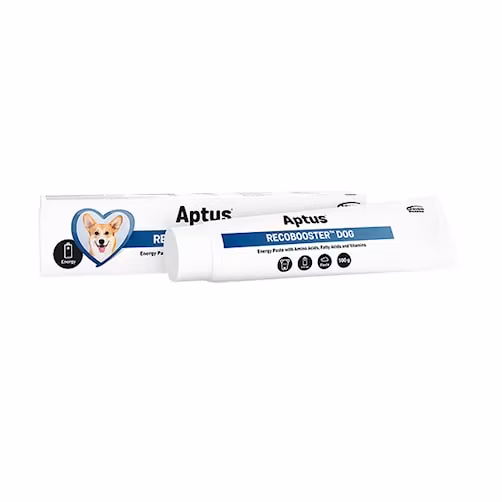 Aptus Recovery Booster dog 100g