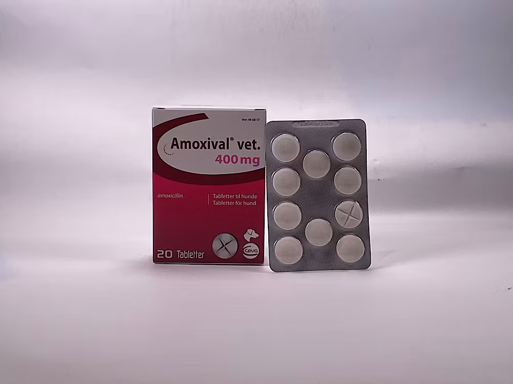 Amoxival vet 400 mg 2 x 10 tablett(er) Tablett