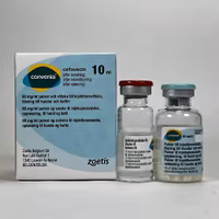 Convenia 80 mg/ml 10 milliliter Pulver och vätska till injektionsvätska, lösning