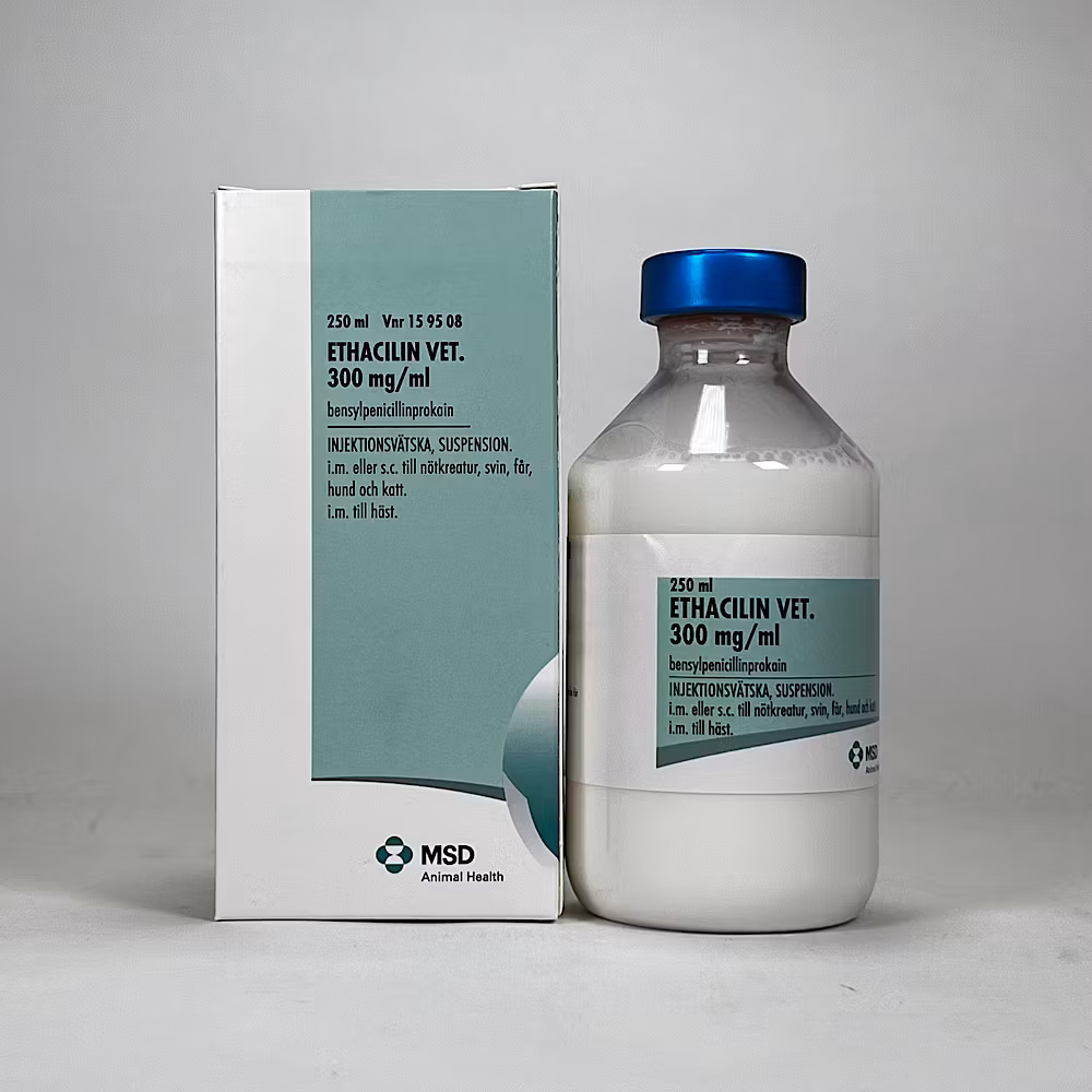 Ethacilin® vet. 300 mg/ml injektionsvätska, suspension 250 ml