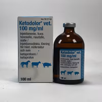 Ketodolor vet, inj-vätska, lösning 100 mg/ml, 100 milliliter
