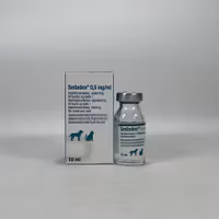 Sedadex 0,5 mg/ml 1 x 10 milliliter Injektionsvätska, lösning