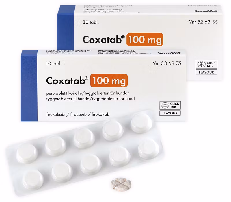 Coxatab 100 mg 1 x 10 tablett(er) Tuggtablett