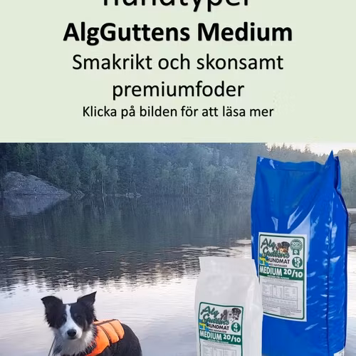 MEDIUM 20/10, snällt för magen, smakrikt och "lagom"