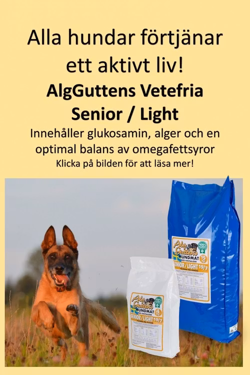 AlgGutten senior light Svensktillverkat hundfoder med havsalger för seniorhund överviktig hund
